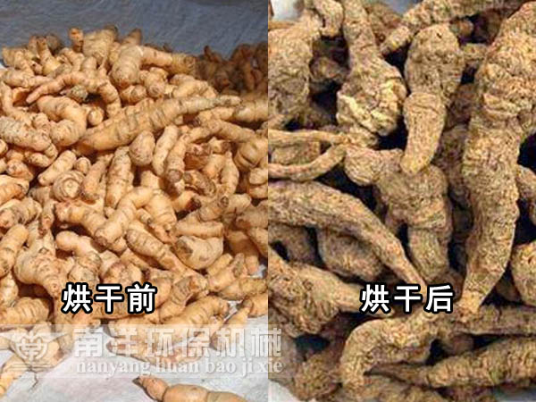 地黃（huáng）烘幹（gàn）前與烘（hōng）幹（gàn）後對比