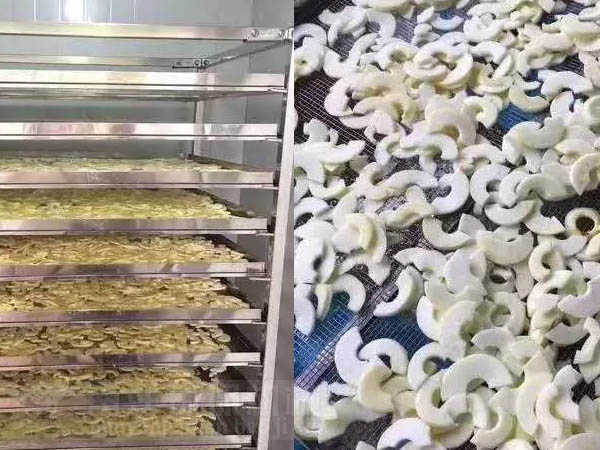 蘋果片烘幹機
