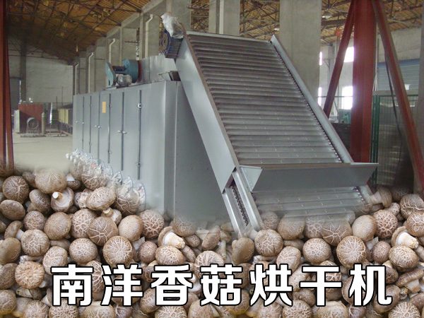 香菇烘幹(gàn)機 香菇烘幹(gàn)機