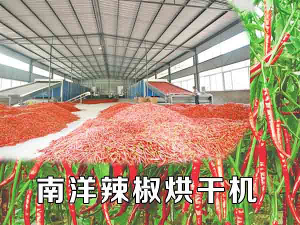 辣椒烘幹機 辣椒烘幹機