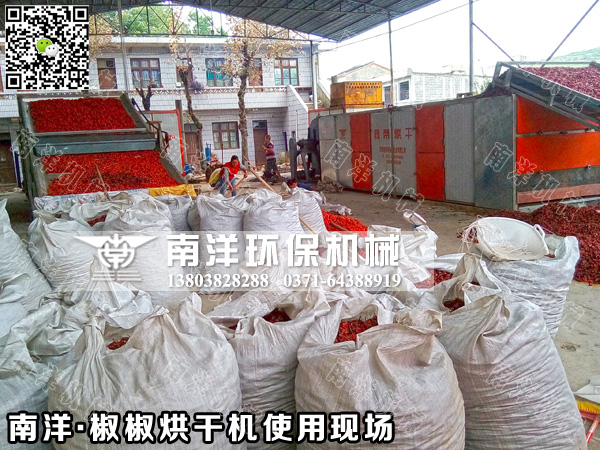 辣椒（jiāo）烘幹機使用現場（chǎng）