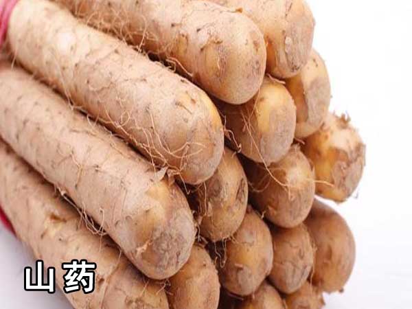 山藥