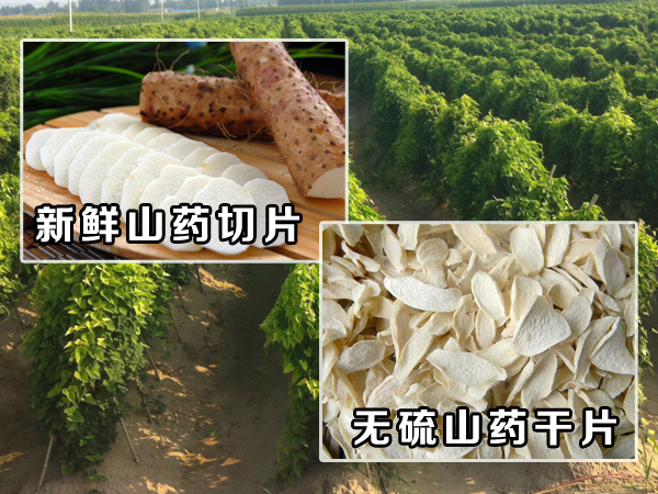 山藥幹片效果
