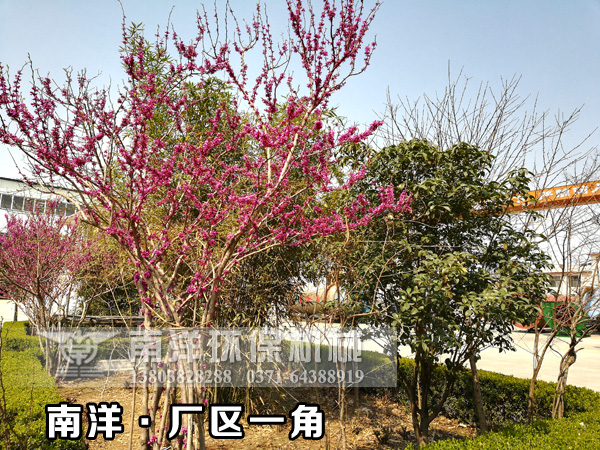 800av凹凸视频在线观看環保廠區一角