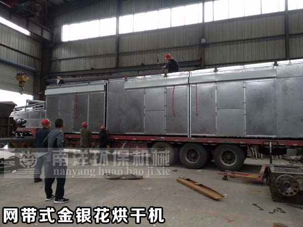 網帶式金銀花烘幹機發貨交付