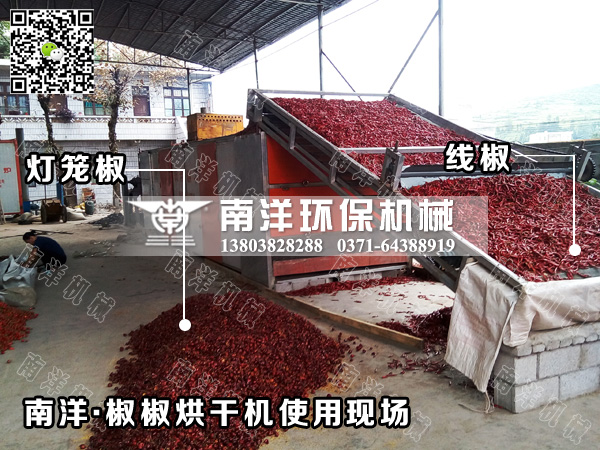 800av凹凸视频在线观看辣椒烘幹機使（shǐ）用（yòng）現（xiàn）場